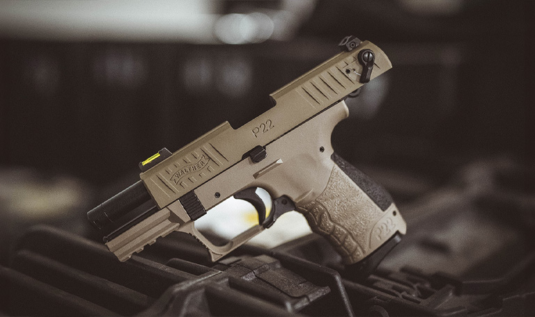 walther P22