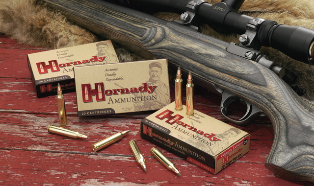 hornady Varmint Express