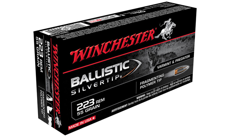 Ballistic Silvertip