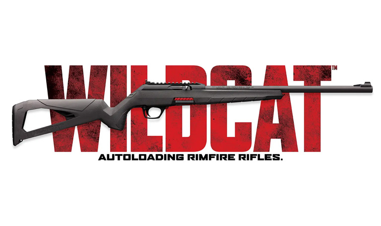 winchester firearms Wildcat 22