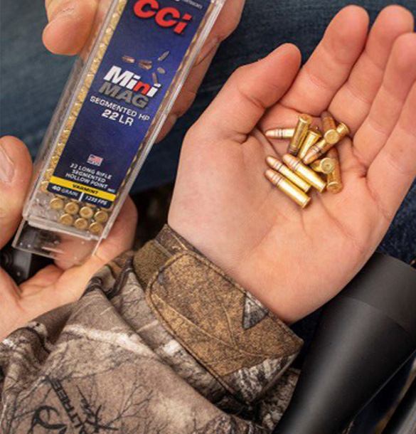 22 LR Ammunition