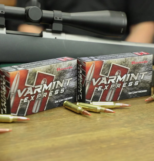 6.5 Creedmoor Ammunition