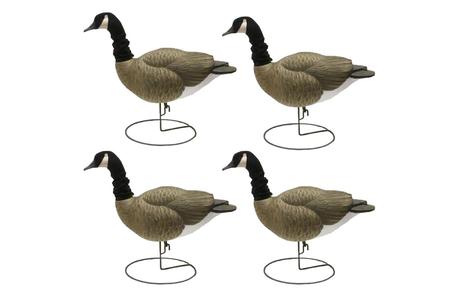 CANADA GOOSE FULL BODY W/ FLEXFLITE HEADS 4 PK