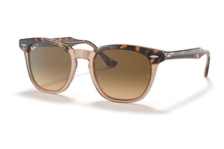 HAWKEYE HAVANA ON TRANSPARENT BROWN W/BROWN GRADIENT POLARIZED LENSES