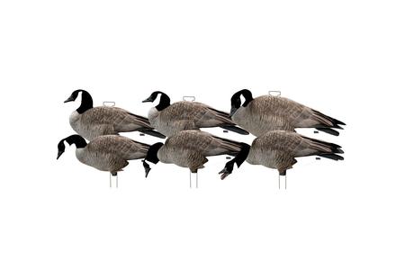 PG SILHOUETTE DECOYS-CANADA GOOSE