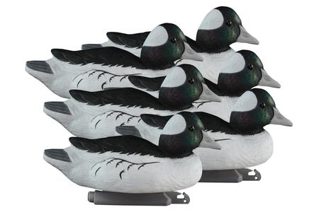 STANDARD BUFFLEHEAD, FOAM FILLED, DRAKES (6PK)