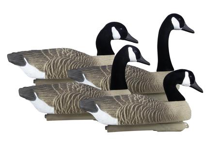 FULL-SIZE GOOSE FLOATER, CANADA (4PK)