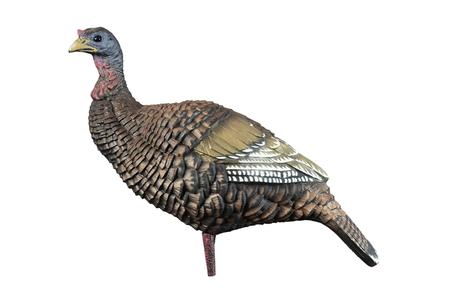 HIGDON HARD BODY UPRIGHT HEN