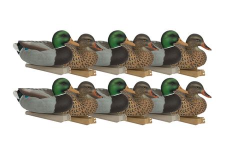 ES MALLARDS (DOZEN)