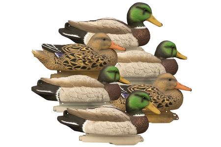 STANDARD MALLARD, FOAM FILLED (6PK)