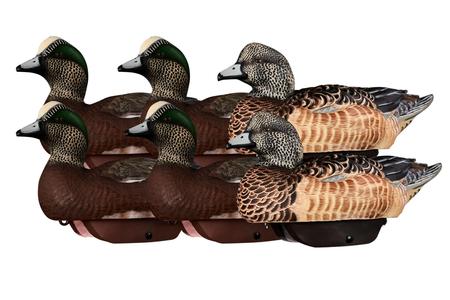 FLEXFLOAT WIGEON 6 PACK