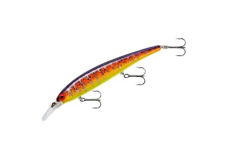 WALLEYE SHALLOW