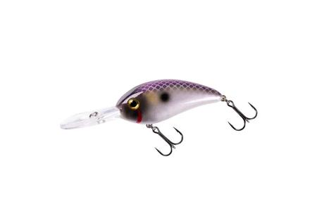 FAT FREE SHAD JR.