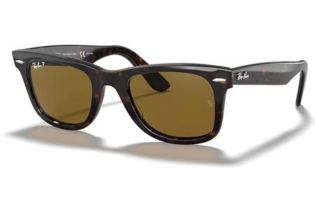 WAYFARER TORTOISE WITH BROWN POLARIZED LENSES