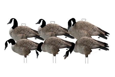 PG SILHOUETTE DECOYS-CANADA GOOSE W/FLOCKED HEADS