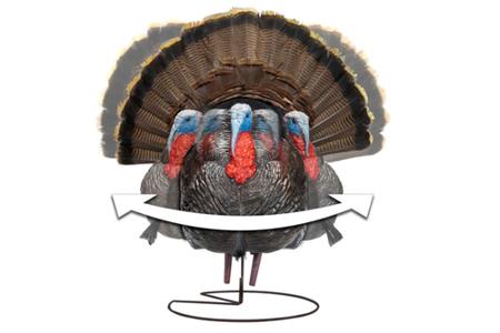 XS TRUSTRUTTER MOTION TURKEY TOM