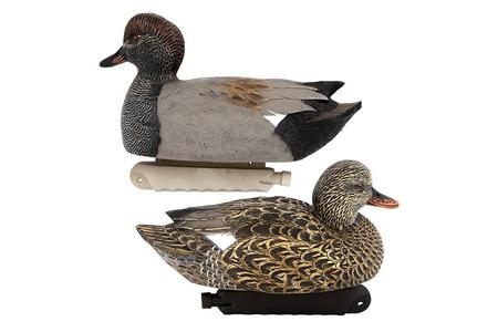 GADWALL 6 PACK