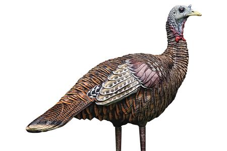 LCD LOOKOUT HEN TURKEY SPECIES MULTI COLOR DURA-RUBBER