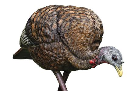 LCD FEEDER HEN TURKEY SPECIES MULTI COLOR DURA-RUBBER