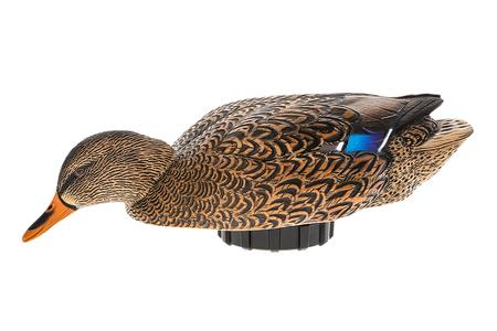 MALLARD HEN SPECIES MULTI-COLOR