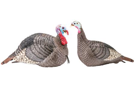 STRUT-LITE JAKE/HEN COMBO WILD TURKEY SPECIES MULTI COLOR SYNTHETIC