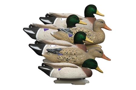 HIGDON 16034 BATTLESHIP MALLARD FOAM FILL FLK  6PK