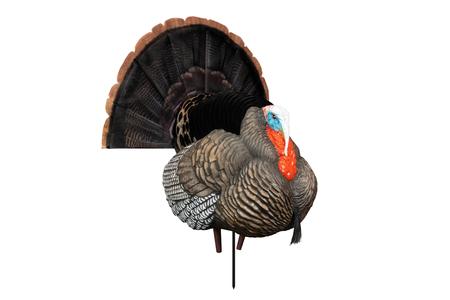 HIGDON 63148 APEX STRUTTER HARD BODY TURKEY