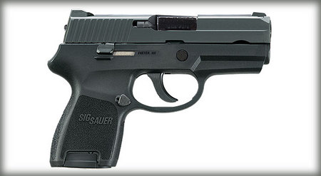 P250 SUBCOMPACT 45ACP NIGHT SIGHTS (LE)