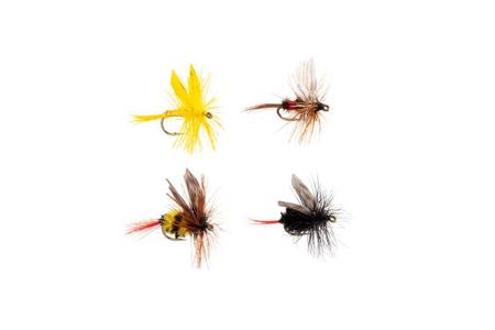 DRY FLY SZ 12 ASSORTED 2 PC 