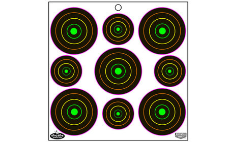 DIRTY BIRD MULTI-COLOR TARGETS 180-PK