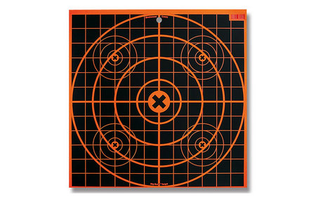 BIG BURST REVEALING TARGETS 12 IN. 3-PK