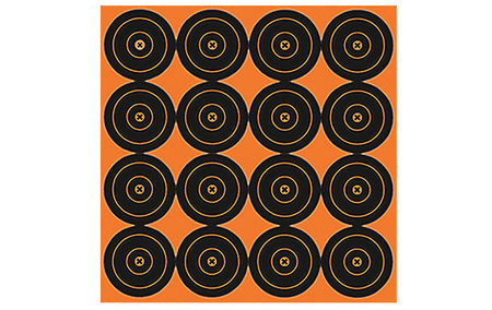 BIG BURST REVEALING TARGETS 3 IN. 48-PK