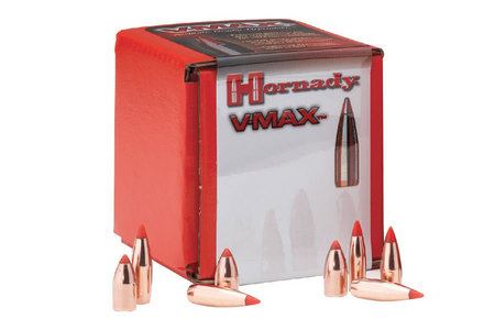 6MM .243 87 GR V-MAX