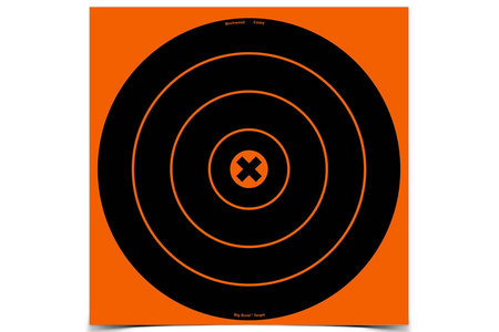  BIG BURST TARGETS 12 IN. 3 PACK