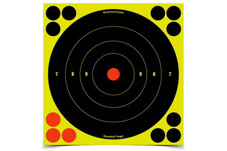 SHOOT-N-C 8 INCH BULLS-EYE TARGET 30 PK