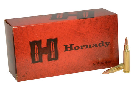 17 HORNET 25 GR HP CUSTOM