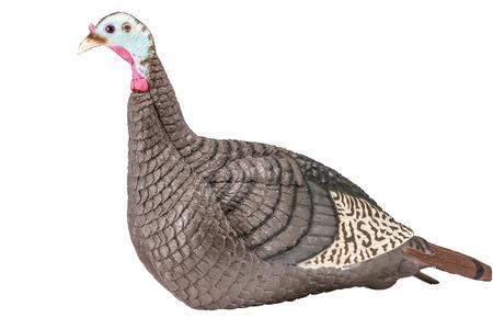 STRUT-LITE HEN DECOY