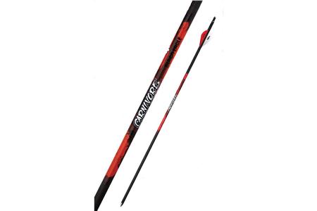 CARNIVORE FLETCHED .001` 6 PACK 350