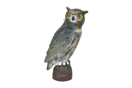 17 INCH OWL