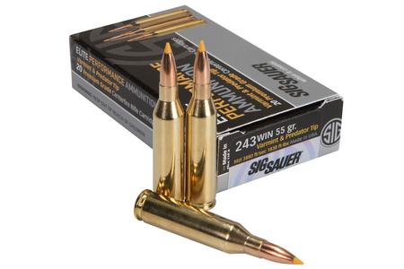 243 WIN 55 GR ELITE COPPER HUNTING