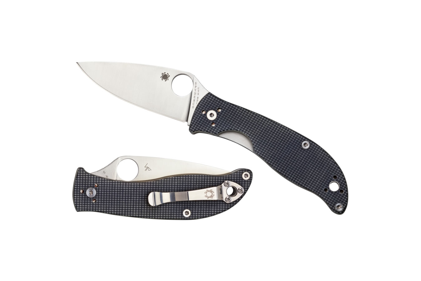Spyderco Polestar Folder