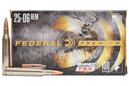 25-06 REM 100 GR BARNES TSX