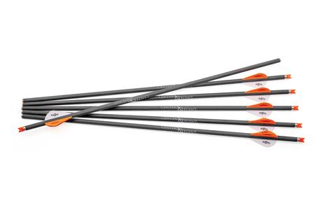 CP400 CARBON ARROW 6-PACK