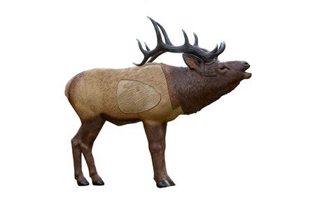 1/3 SCALE SIGNATURE ELK