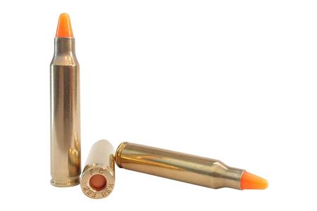 223 REM ACTION TRAINER DUMMY ROUND