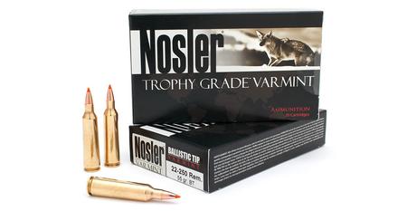 22-250 REM 55 GR TROPHY GRADE BALLSITIC TIP