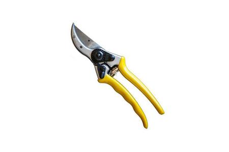 HAND PRUNER 