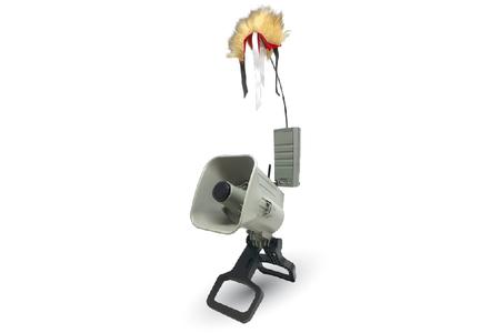 X-DECOY (DECOY ONLY)
