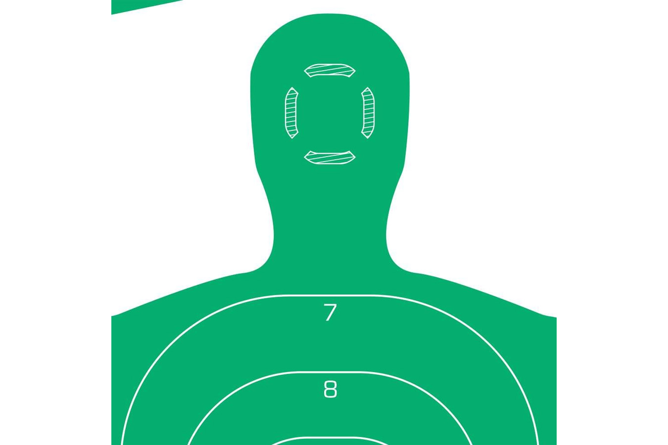 ALLEN COMPANY EZ AIM 12x18 Silhouete Green, 10-Pack