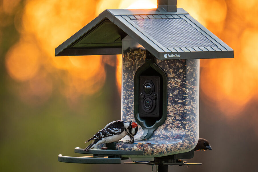 TACTACAM FeatherSnap Scout Solar-Powered Smart Bird Feeder